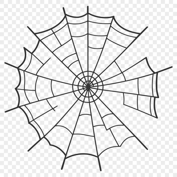 A delicate spider web designed as a vector graphic, suitable for various digital applications.