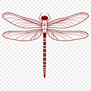 A colorful illustration of a dragonfly in mid-flight, suitable for vector graphics.