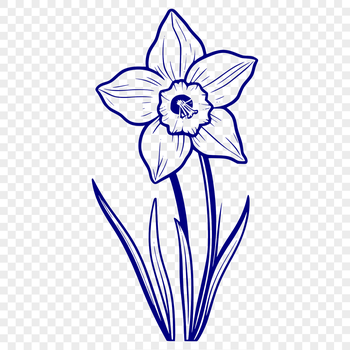 A illustration of a daffodil flower in full bloom.