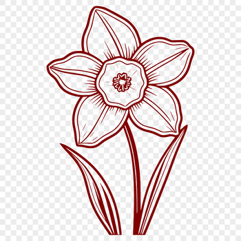 A stylized illustration of a daffodil plant, suitable for vector design and commercial or personal use.