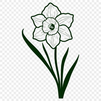 A bright yellow daffodil flower with trumpet-shaped petals and a green stem.