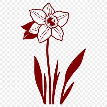 A stylized illustration of a single white daffodil flower on a green stem, ideal for vector design projects.