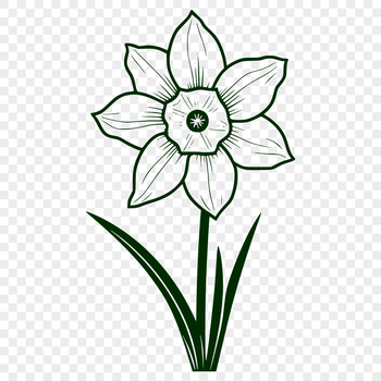 A realistic illustration of a daffodil flower, suitable for graphic design projects.