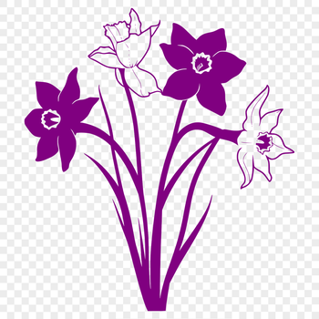 A detailed illustration of a daffodil flower with layered petals and a prominent trumpet.