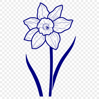 A close-up illustration of a blooming daffodil flower with trumpet-shaped petals.