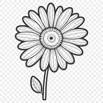 A simple illustration of a daisy flower in a vector format.
