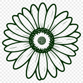 A detailed vector illustration of a daisy flower with multiple petals.