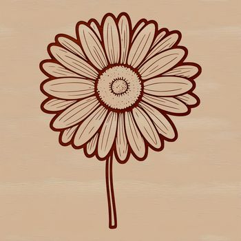 A detailed, high-resolution SVG drawing of a daisy with petal details.
