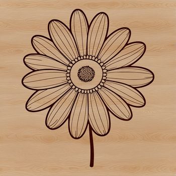 A simple line art illustration of a daisy flower in a minimalist style.