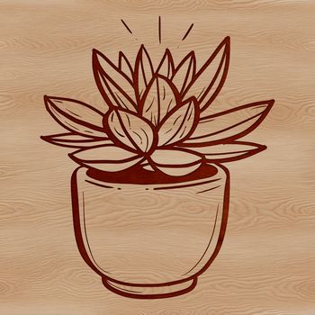 A succulent plant with thick, fleshy leaves and stems in a compact, rounded shape.