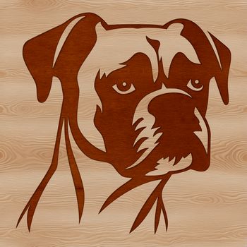 Illustrated vector image of a Boxer dog's head.