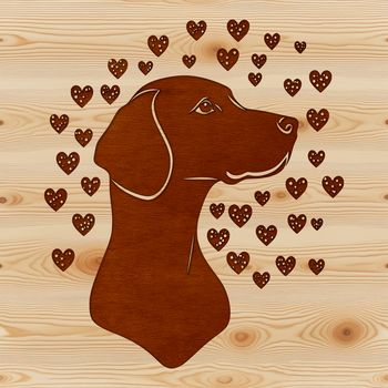 Weimaraner breed illustration in a vector format.