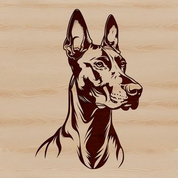 A high-quality SVG image of a Doberman Pinscher, ideal for personal or commercial projects requiring precise dog designs.