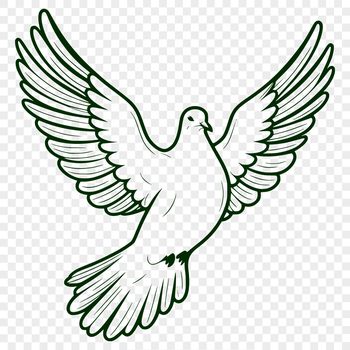 A white dove perched on a branch, represented as a vector graphic.