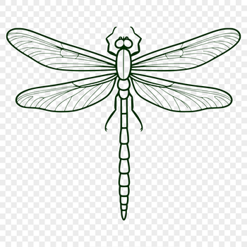 A colorful dragonfly illustrated in vector format.