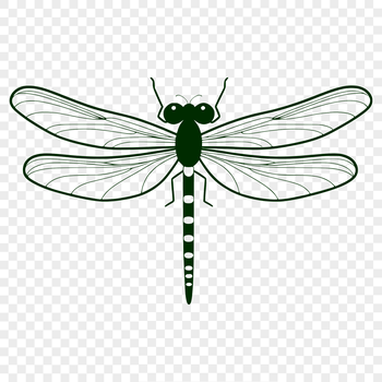A colorful illustration of a dragonfly in vector format