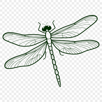 A colorful dragonfly design in vector format, suitable for various cutting machines and digital applications.