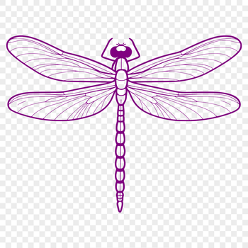 A digital illustration of a dragonfly in vector format.