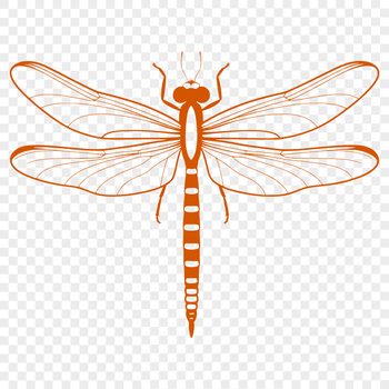 A detailed digital representation of a dragonfly, suitable for cutting or engraving.
