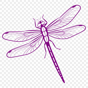Dragonfly insect illustration in vector format