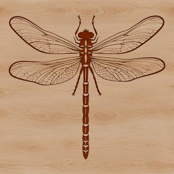 A colorful dragonfly in flight, depicted as a vector graphic illustration.