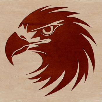 A detailed illustration of an eagle's head with feathers, beak, and talons.