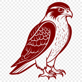A detailed illustration of a bird of prey in mid-flight, designed as a vector graphic.