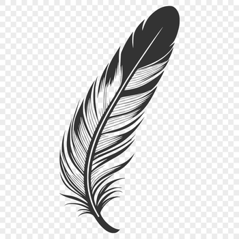 Illustrative feather design in vector format, suitable for various digital applications.