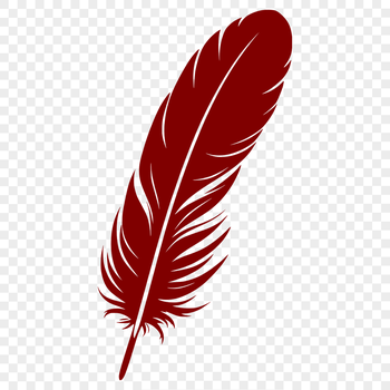 A single feather with detailed lines and textures, created as a vector graphic.