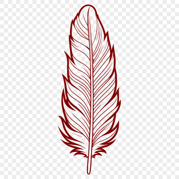 A single white feather with smooth edges, suitable for digital editing and cutting.