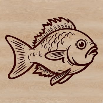 A colorful illustration of a freshwater crappie fish.