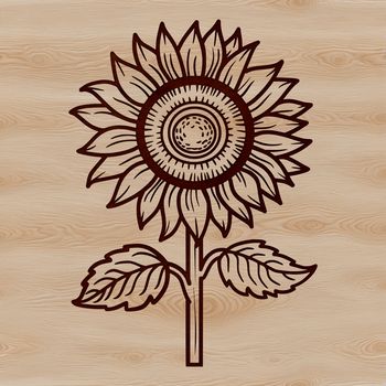 A single sunflower with bright yellow petals and dark center, growing in a field or garden.