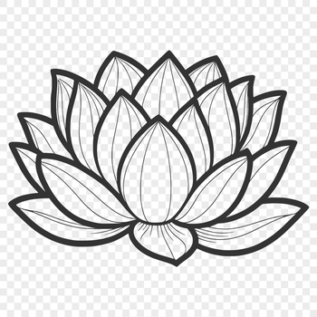 An elegant illustration of a lotus flower with intricate details, suitable for vector design and digital art.