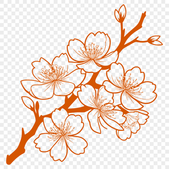 A detailed illustration of a blooming cherry blossom flower against a light background.