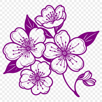 A stylized illustration of a cherry blossom in full bloom, suitable for use in digital designs.