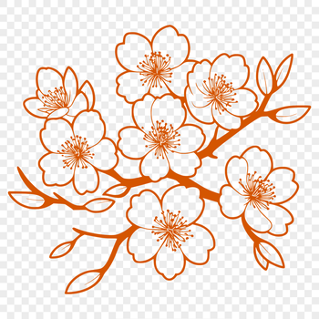 A digital illustration of a blooming cherry blossom flower against a white background.