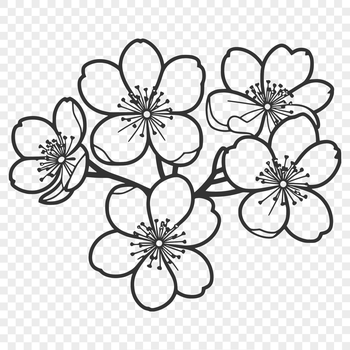 A stylized vector illustration of a cherry blossom in full bloom.