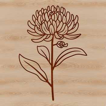 A high-quality digital illustration of a chrysanthemum flower with intricate details.