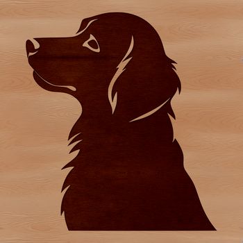 A golden-coated dog breed with a friendly expression, suitable for vector design projects.