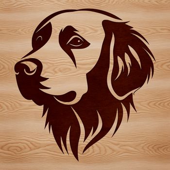 A detailed illustration of a golden retriever's head, suitable for use in digital design and crafting projects.