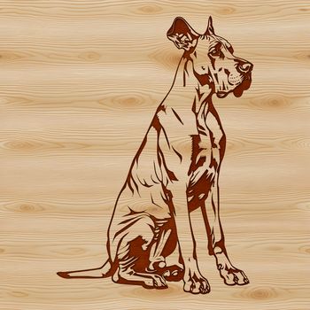 A large breed dog with a calm expression sitting upright.