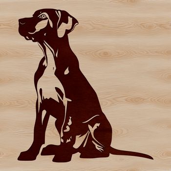 A large, muscular dog breed sitting on its haunches with a calm expression.