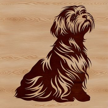 A portrait illustration of a sitting Havanese dog breed.