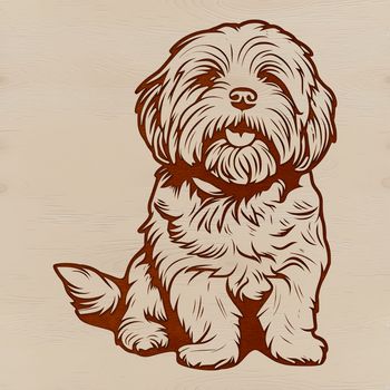 A small, fluffy Havaneses breed sitting on the ground.