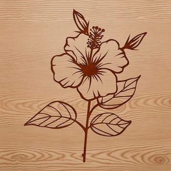 A detailed illustration of a hibiscus flower in various colors, suitable for digital art projects.