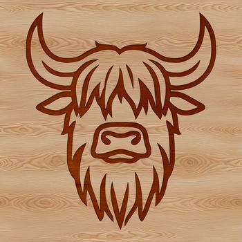 Highland cow breed portrait with rugged texture.