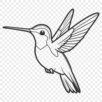 A vector illustration of a hummingbird in flight, designed for digital applications.