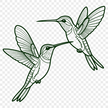 A detailed illustration of a hummingbird in flight, created as a vector graphic.