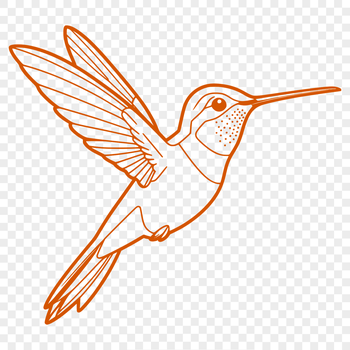 Illustration of a hummingbird in flight, suitable for graphic design projects.