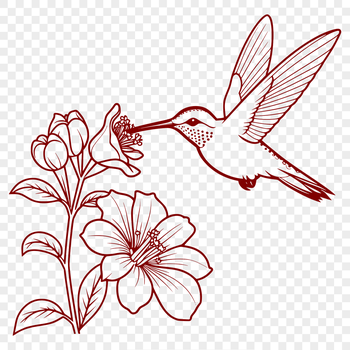 Illustration of a hummingbird hovering around a blooming floral arrangement in mid-air.